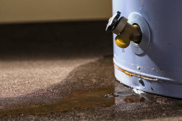 Best Water damage restoration mold remediation  in Lindsay, CA