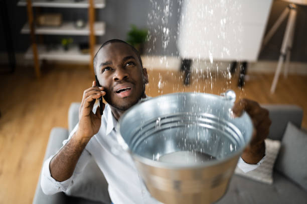 Best Water damage contractors near me  in Lindsay, CA