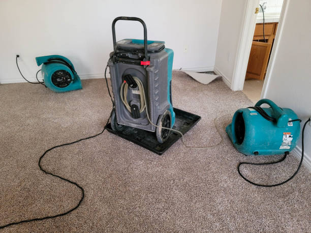 Best Carpet water damage restoration  in Lindsay, CA