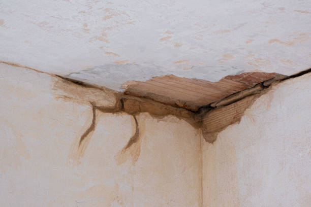 Trusted Lindsay, CA Water damage restoration Experts