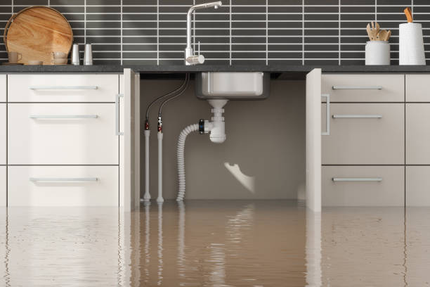 Best Mold removal after water damage  in Lindsay, CA