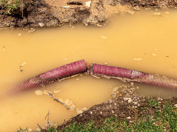 Carpet water damage restoration in Lindsay, CA